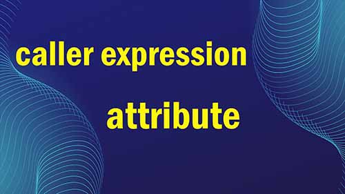 caller expression attribute در سی شارپ 